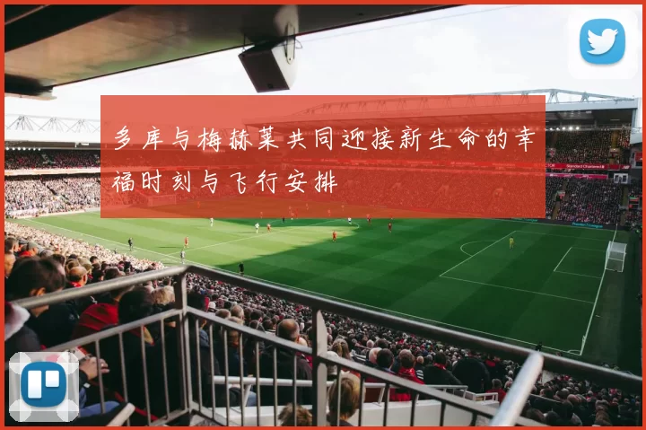 多库与梅赫莱共同迎接新生命的幸福时刻与飞行安排